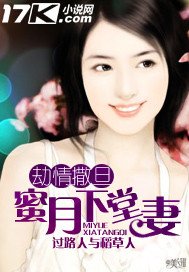 劫情撒旦:蜜月下堂妻
