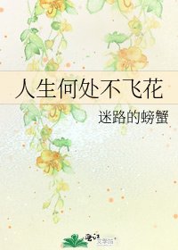 人生何处不飞花