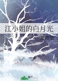 江小姐的白月光